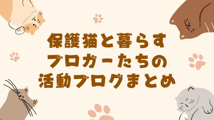 cook 今日なに作ろ？